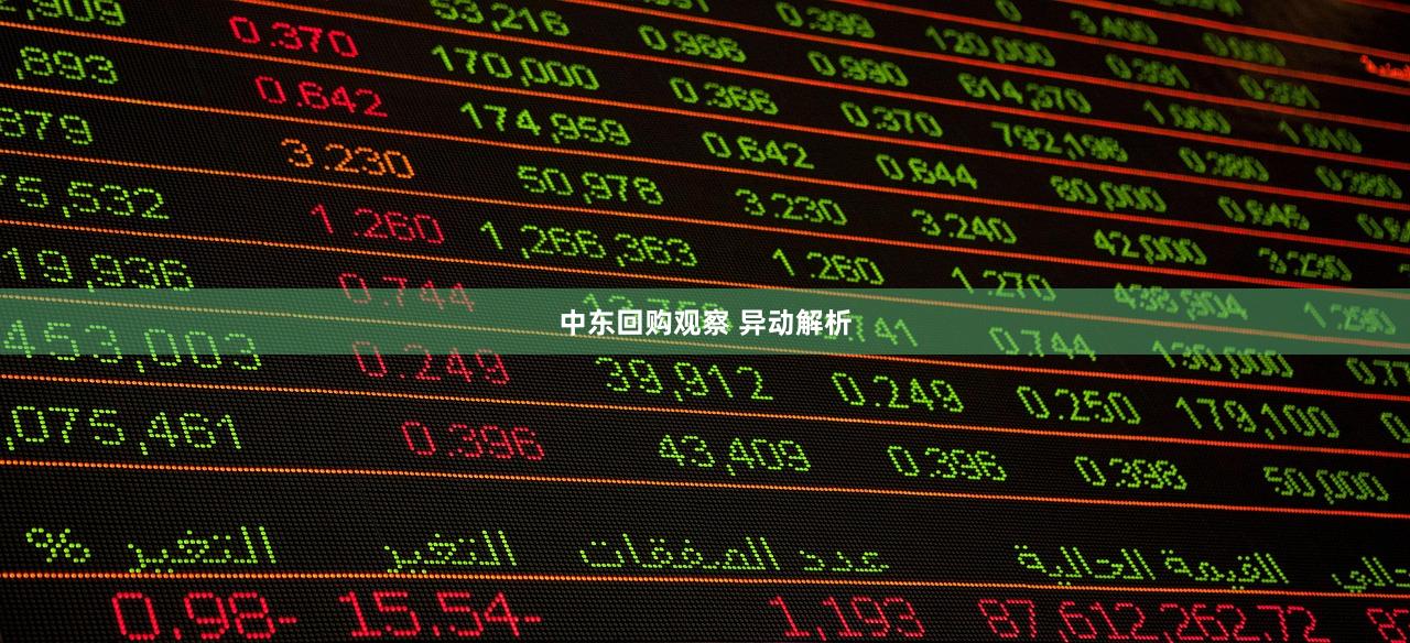 中东回购观察 异动解析