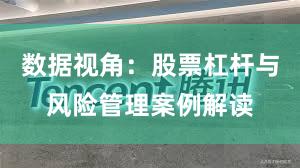 数据视角：股票杠杆与风险管理案例解读